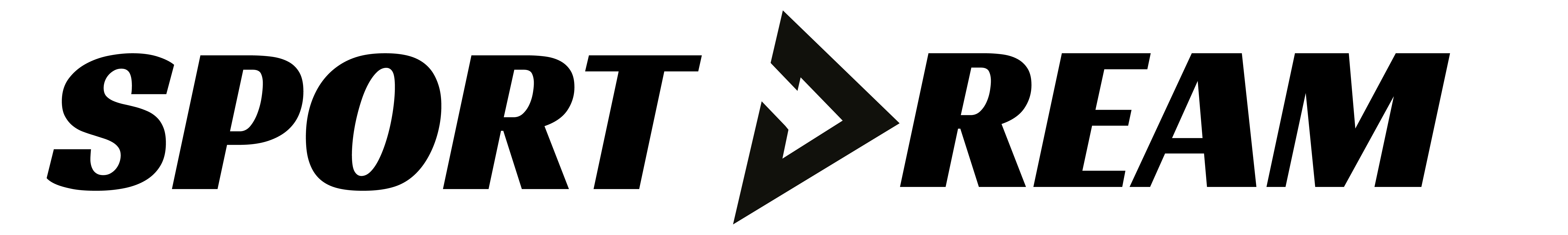 Sport Dream logo